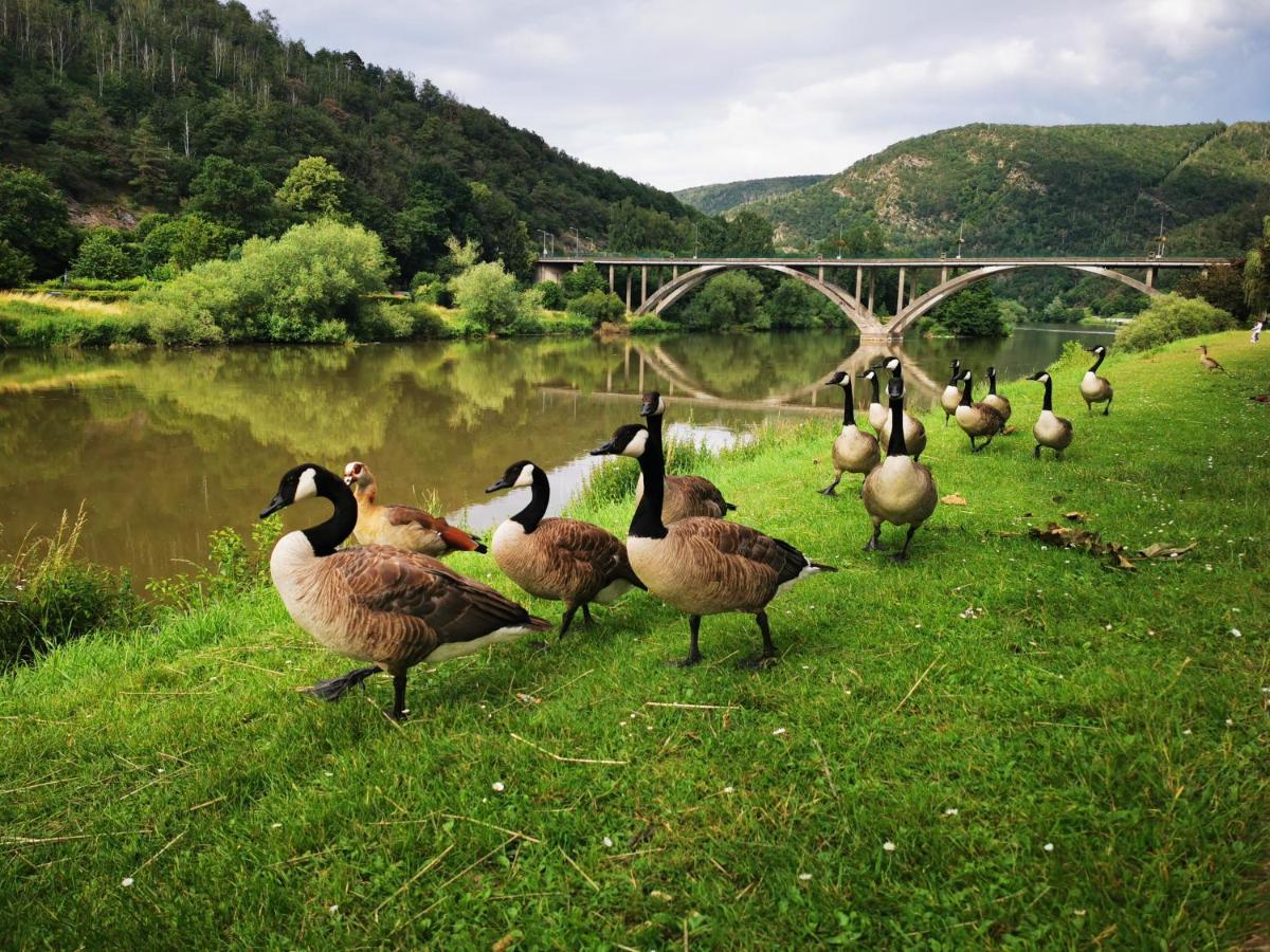 La Bayenne Villa Revin  Bagian luar foto