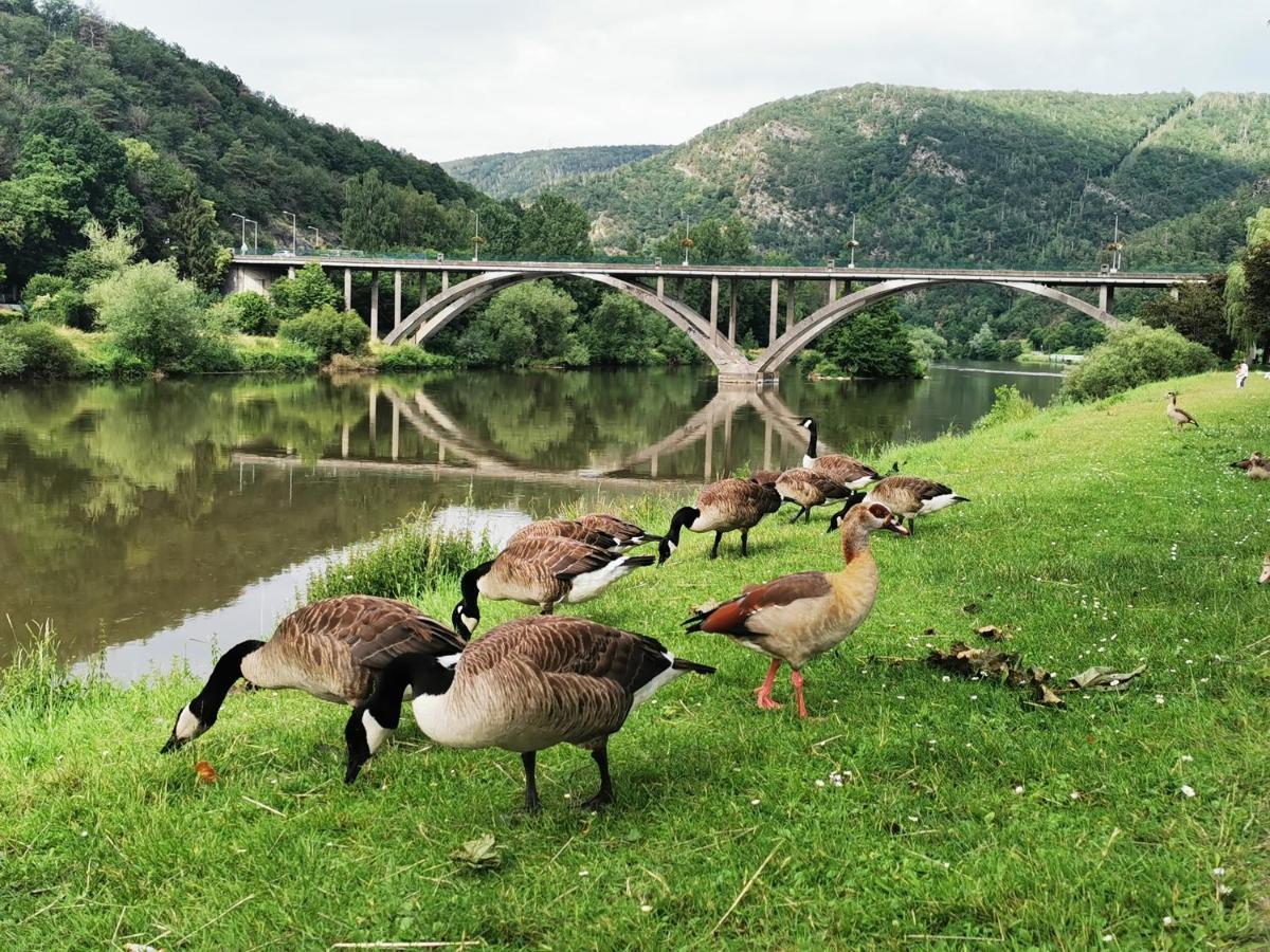 La Bayenne Villa Revin  Bagian luar foto